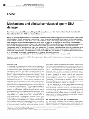 Mηχανισμοί της Κατάτμησης τους DNA (tamburrino-et-al, 2012)
