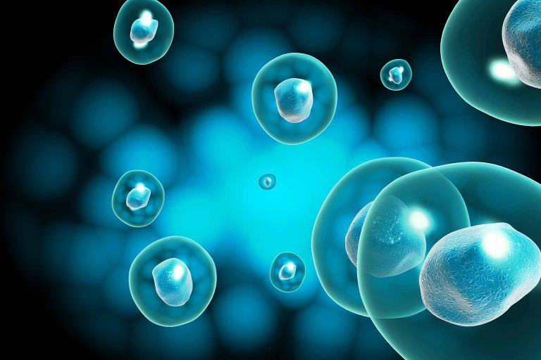 Ανδρολογικό Εργαστήριο Ζεγκινιάδου