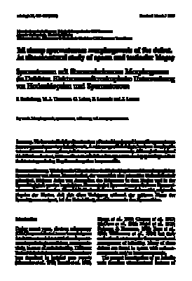 Σύνδρομο κοντής ουράς (Barthelem-et-al, 1990)