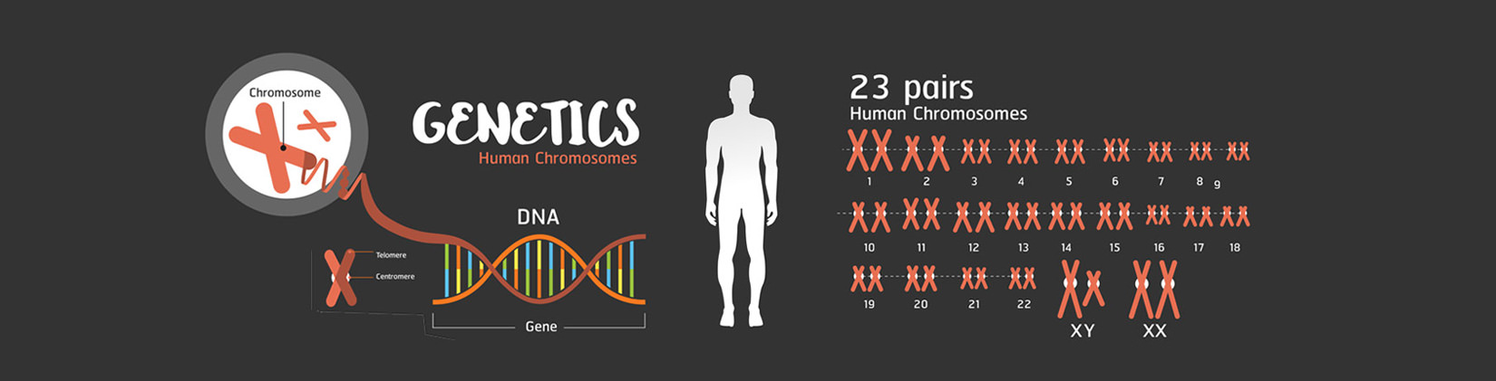 Γενετικός έλεγχος σπέρματος