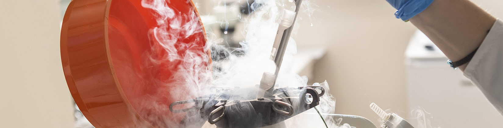 Ανδρολογικό Εργαστήριο Ζεγκινιάδου Κρυοσυντήρηση σπερματοζωαρίων