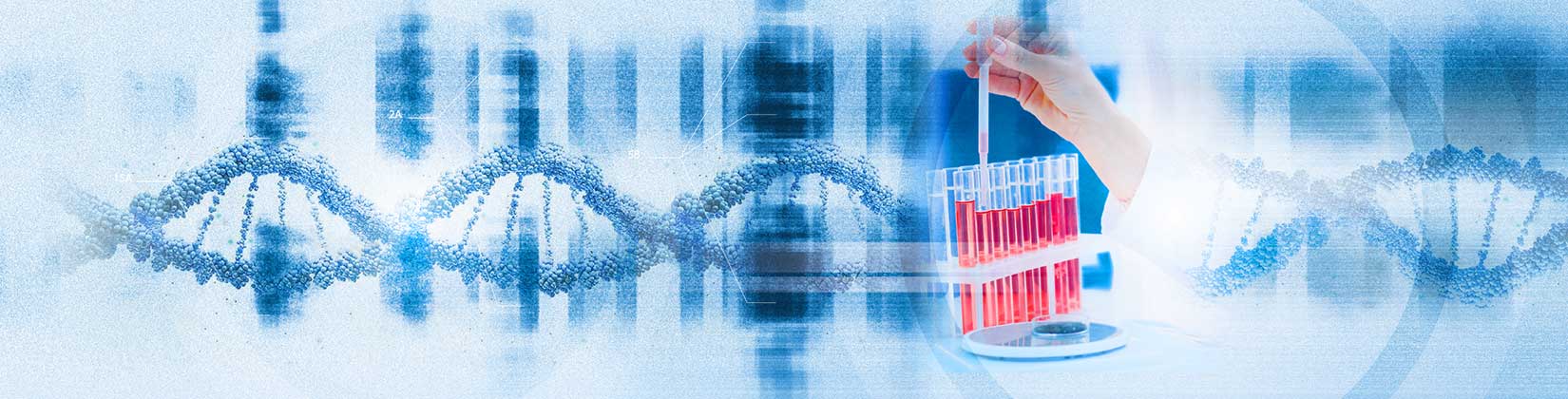 Ανδρολογικό εργαστήριο Ζεγκινιάδου καρυότυπος