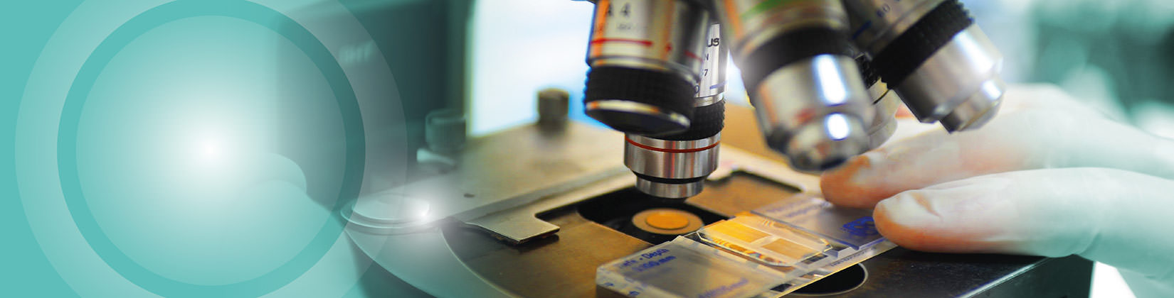 Ανδρολογικό εργαστήριο Ζεγκινιάδου μετρήσεις σπερμοδιαγράμματος